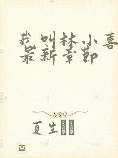 我叫林小喜17最新章节