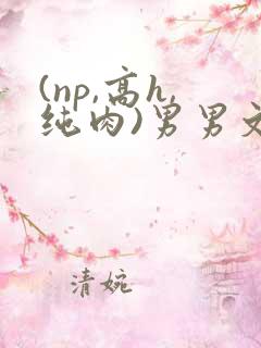 (np,高h,纯肉)男男文