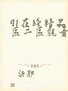 91在线精品一区二区观看