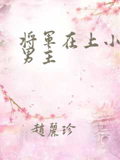 将军在上小说双男主