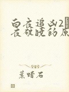 白夜追凶2·白夜破晓的原著
