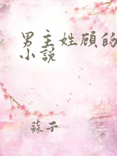 男主姓顾的总裁小说