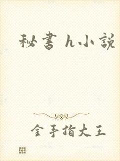秘书 h小说