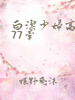 白洁少妇高义第77章