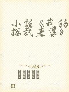 小说《我的冰山总裁老婆》