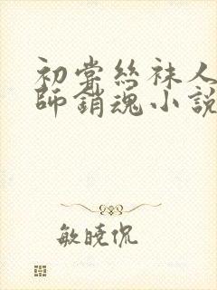 初尝丝袜人妻老师销魂小说