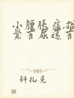 小腹胀痛,总感觉有尿还有血