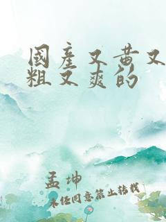 国产又黄又猛又粗又爽的