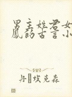 男主姓君女主姓凤的古言小说