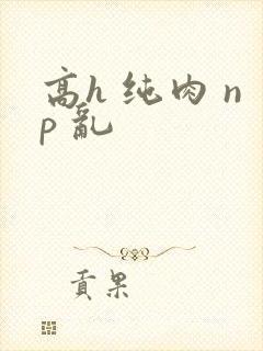 高h 纯肉 np 乱