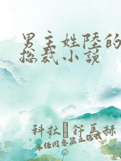 男主姓陆的豪门总裁小说