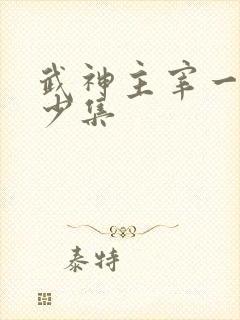 武神主宰一共多少集