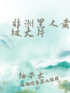 非洲黑人黄色一级大片