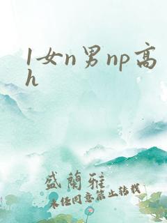 1女n男np高h