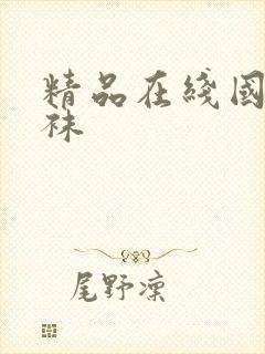 精品在线国产丝袜