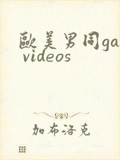 欧美男同gay videos
