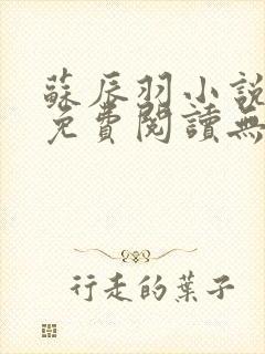 苏辰羽小说全文免费阅读无弹窗最新章节