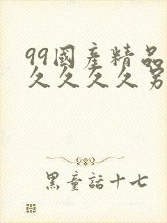 99国产精品久久久久久另类