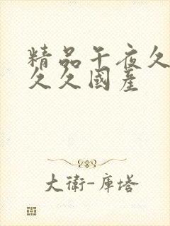 精品午夜久久久久久国产