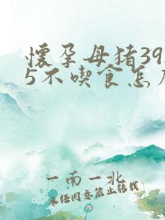 怀孕母猪39.5不吃食怎么办