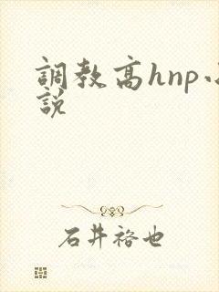 调教高hnp小说