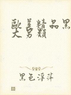 欧美精品黑人粗大另类