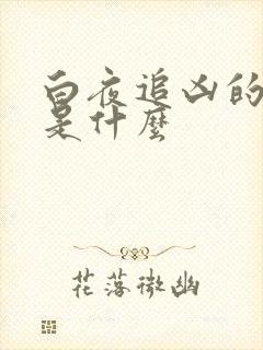 白夜追凶的真相是什么