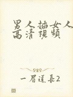 男人插女人下面高清视频