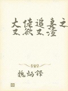 大佬追妻之夫人又欲又渣