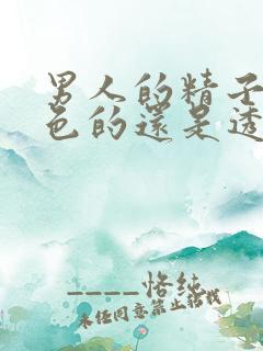 男人的精子是白色的还是透明的