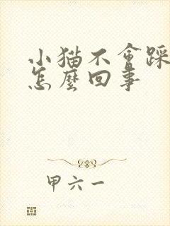 小猫不会踩奶是怎么回事