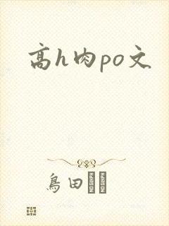 高h肉po文