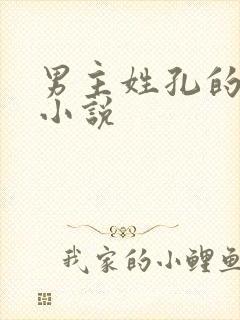 男主姓孔的现代小说
