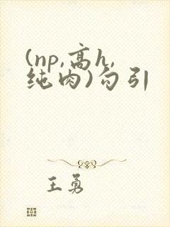 (np,高h,纯肉)勾引