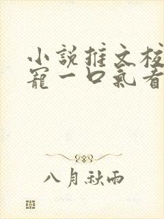 小说推文校园甜宠一口气看完