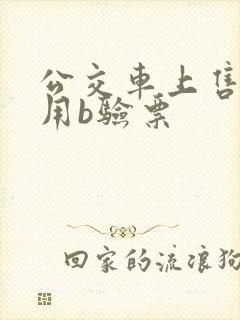 公交车上售票员用b验票