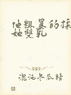 他粗暴的揉捏着她双乳