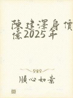 陈建泽身价多少亿2025年