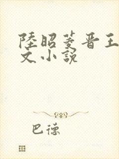 陆昭菱晋王的全文小说