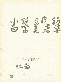 小说《我的总裁白富美老婆》