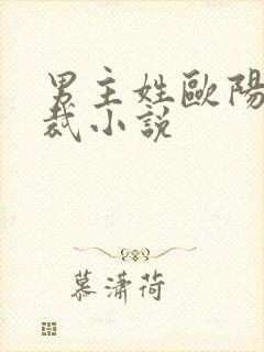 男主姓欧阳的总裁小说