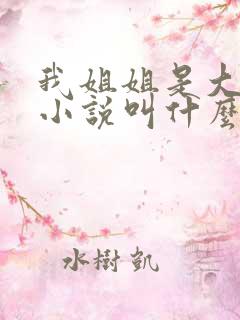 我姐姐是大明星小说叫什么