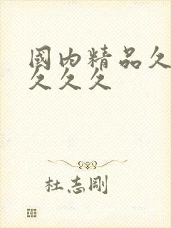 国内精品久久久久久久