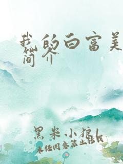 我的白富美老婆简介