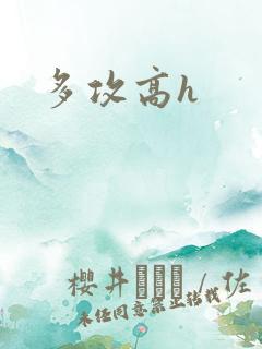 多攻高h