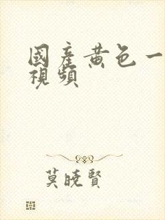 国产黄色一级片视频