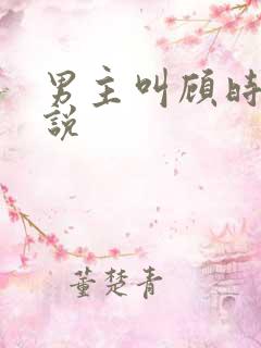 男主叫顾时的小说