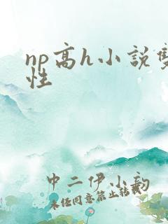 np高h小说双性