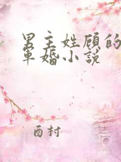 男主姓顾的所有军婚小说