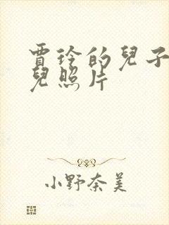 贾玲的儿子和女儿照片